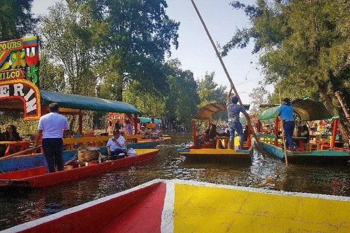 Private City Tour in Frida Kahlo, Coyoacan, and Xochimilco in Mexico City, Mexico